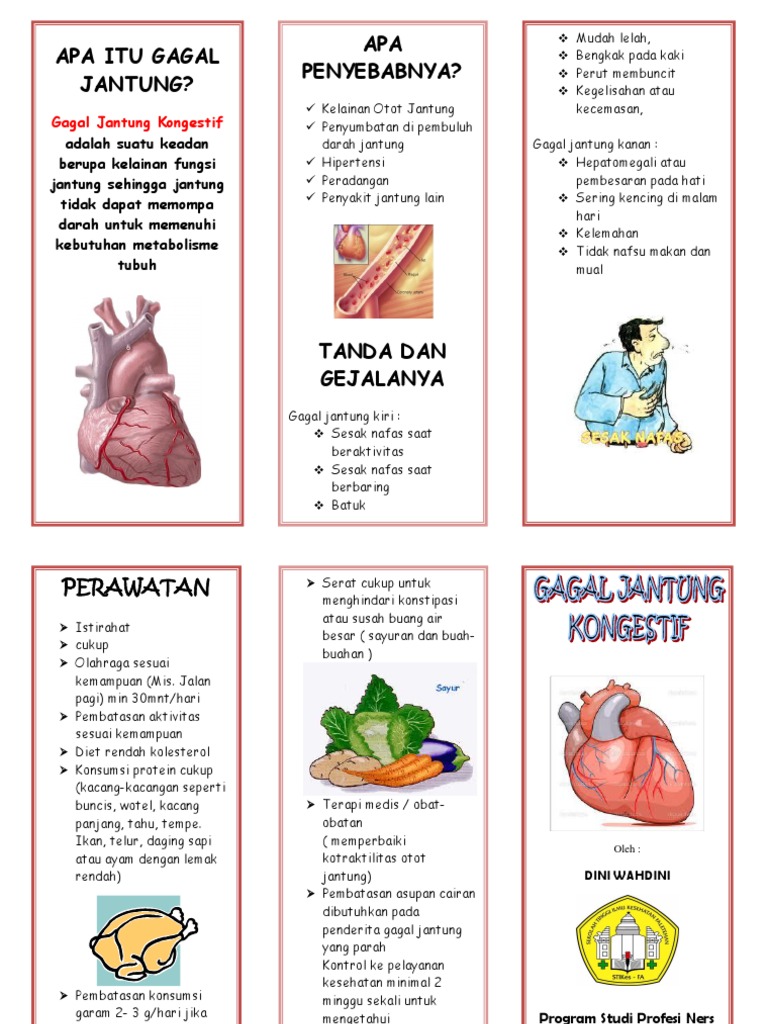Penyakit Chf Adalah - Homecare24