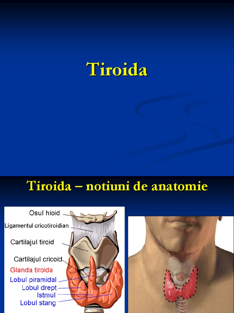 Tiroida Partea 1 Din 3 Intro Si Gusa Endemica | PDF