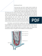 VASKULARISASI REGIO CERVICAL