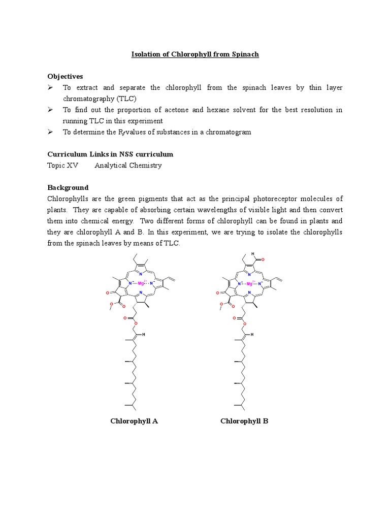 Isolation and Identification of Chlorophyll A and B from Spinach using