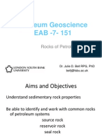 Petroleum Geoscience EAB - 7-151: Rocks of Petroleum Systems
