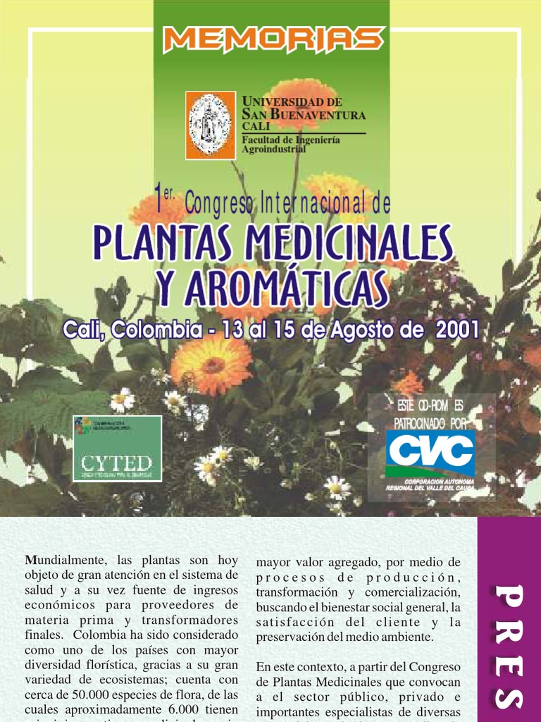 Cúrcuma en Polvo Orgánica  Andes 200 g - florayfauna