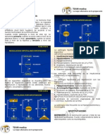 Manual Endocrinologia 1