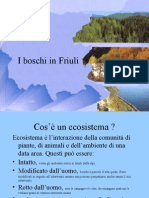 I Boschi in Friuli