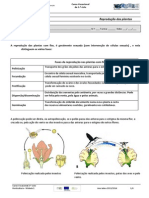 Hort Ficha Reprodução Das Plantas