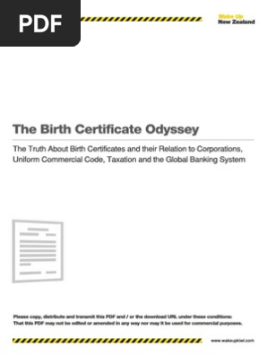 The Birth Certificate Odyssey