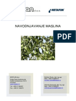 Navodnjavanje Maslina PDF