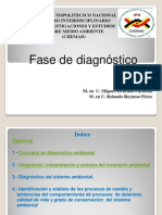 Fase de Diagnostico