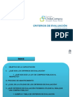 5 Criterios de Evaluacion 2010ppt