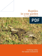 Reptiles in Your Garden