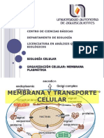 Unidad II. Membrana