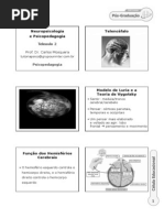 Aula 2 - Neuropsicologia e Psicopedagogia Prof Carlos Mosquera