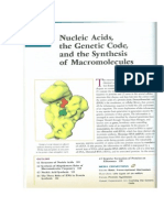 Lodish Et Al 2000-Acidos Nucleicos