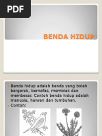 Benda Hidup Darjah 2 Pdf