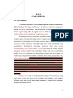 Download KERUKUNAN ANTAR UMAT BERAGAMAdoc by alfirh SN201068799 doc pdf