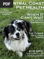 Download Central Coast Pet Health Issue 1 by Central Coast Pet Hospital and Emergency SN201078027 doc pdf