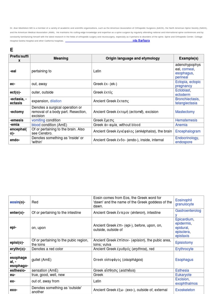 E Medical Prefixes and Suffixes Alan Moelleken MD PDF Spinal Cord