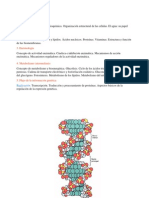 Bioquímica - Replicación del ADN