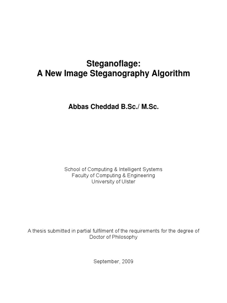 Abbas Thesis | PDF | Cryptography | Areas Of Computer Science