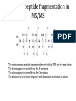 Basics On Peptide Fragmentation in MS
