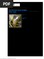 Download Kiat Merawat Cucak Jenggot Calon Juara - ANNEAHIRAcom by Abu Ghaisan SN201121108 doc pdf