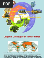 o phinhao manso uma alternativa para o desenvolvimento rural sustentable 