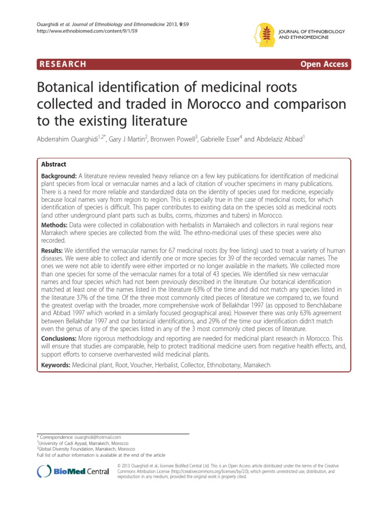 Botanical Identification of Medicinal Roots  Herbalism 