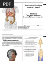 Anatomia.pdf+