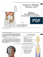 Anatomia.pdf+