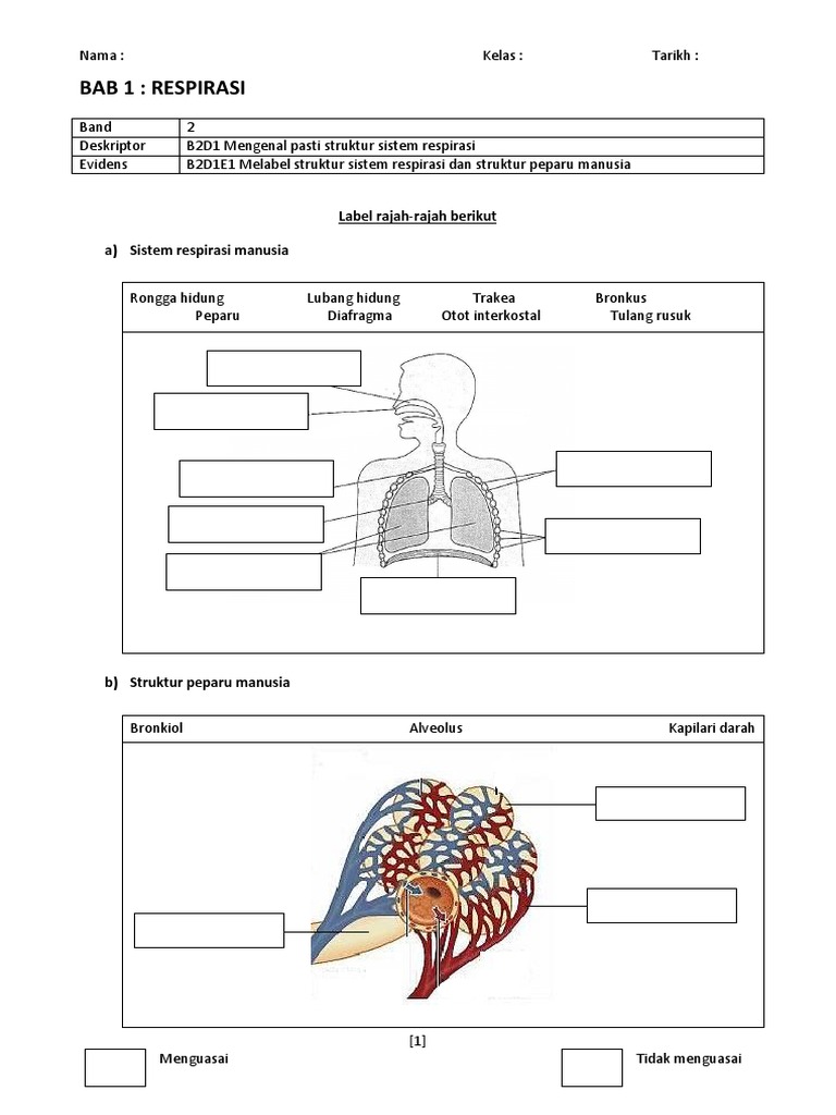 Bab 1 - RespirasiPBS Bab 1 - RespirasiPBS