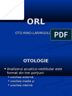  Oto Rino Laringologie