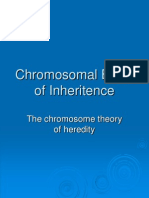 Chromosomal Basis of Inheritence: The Chromosome Theory of Heredity