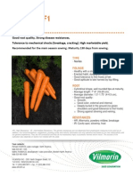 Carrot TEXTO Technical Sheet North America 2013 PDF