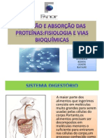 Seminario-Digestão e Absorção Das Proteínas