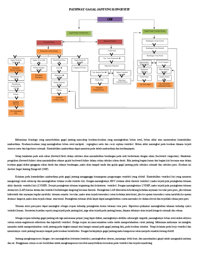 Pathway CHF | PDF