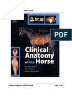 Clinical Anatomy of the Horse - Binder3