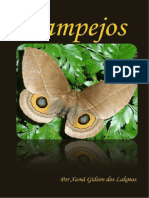 Livro Lampejos