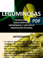 Botanica de Leguminosas Doc 3