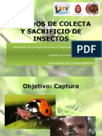 Métodos de Colecta Y Sacrificio de Insectos