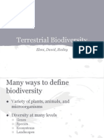 Terrestrial Biodiversity UNEP Presentation