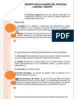 Principios Reguladores Del Proceso Laboral Vigente-Anita