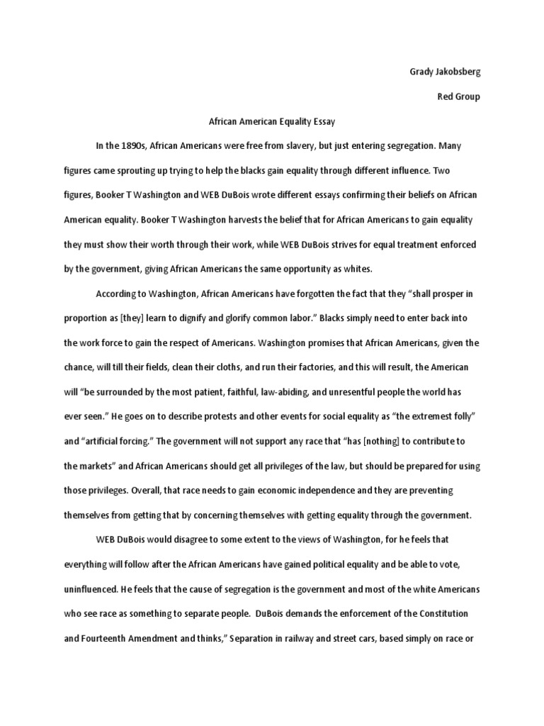 african american civil rights essay