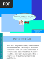 6680513-Biomecanica-Joelho