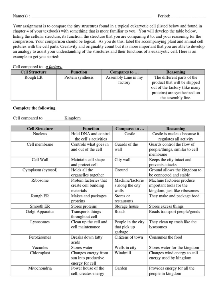 Cell Analogy Worksheet Endoplasmic Reticulum Cell Biology
