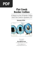 Download A Report on the 35 Border Colliesfrom Flat Creek in Sprakers NY by Caitlin Mason SN201309482 doc pdf