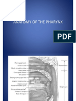 Atlas Anatomyof The Pharynx