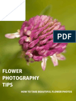 Flower Photography Tips: How To Take Beautiful Flower Photos