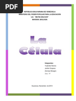 Conceptos - Imagenes Biologia