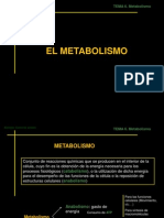 ppt-metabolismo 3