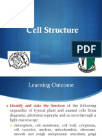 cell structure